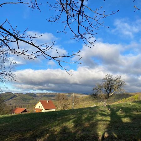 Nature Homestay Trenčín Esterno foto