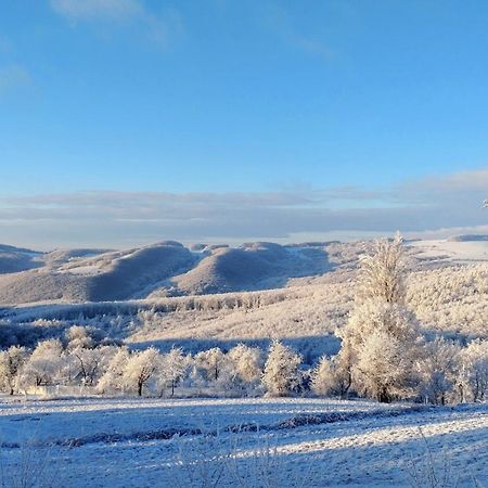 Nature Homestay Trenčín Esterno foto