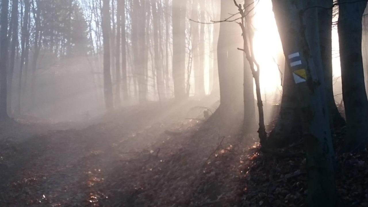 Nature Homestay Trenčín Esterno foto