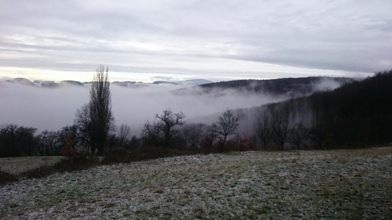 Nature Homestay Trenčín Esterno foto