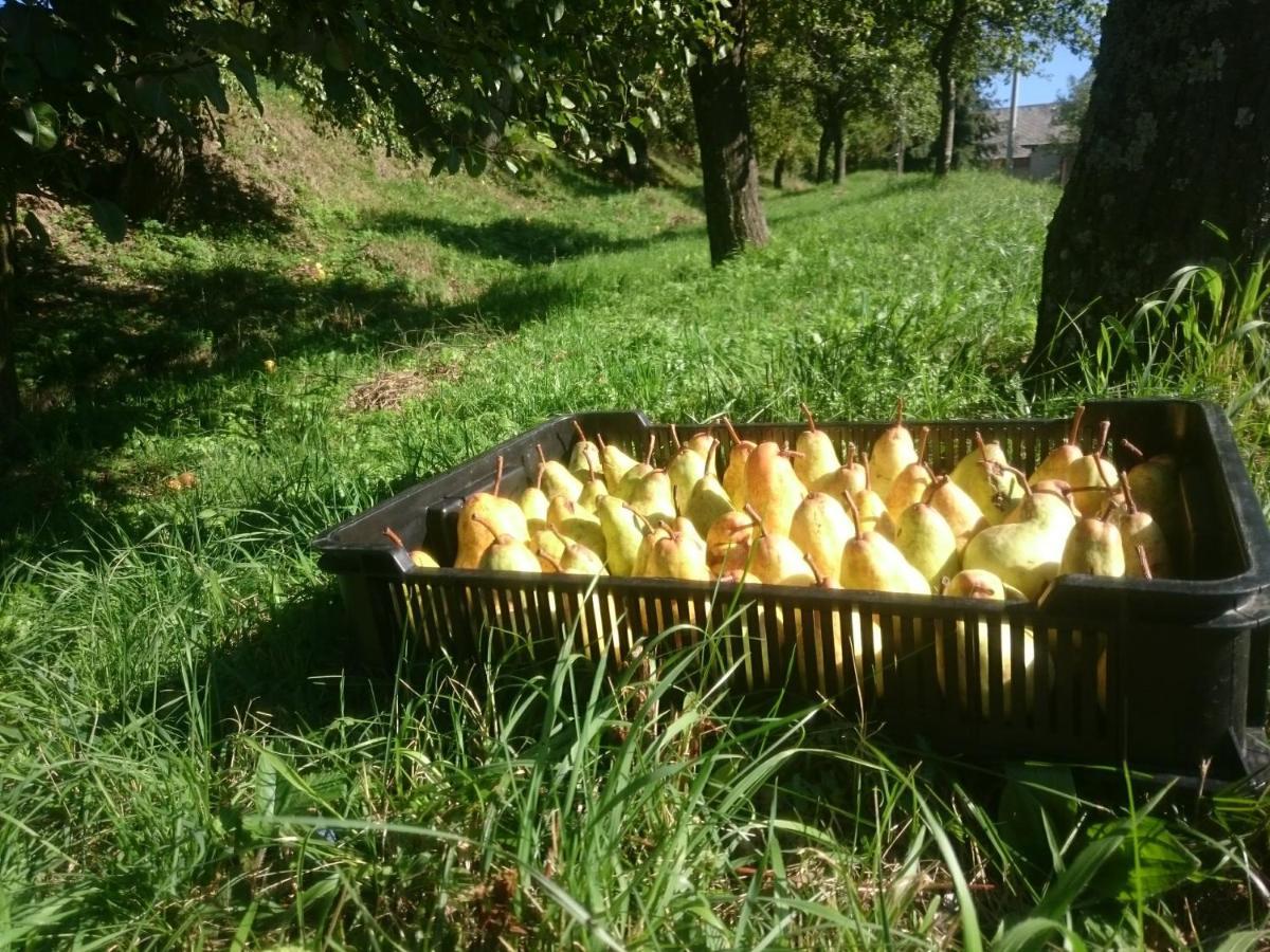 Nature Homestay Trenčín Esterno foto