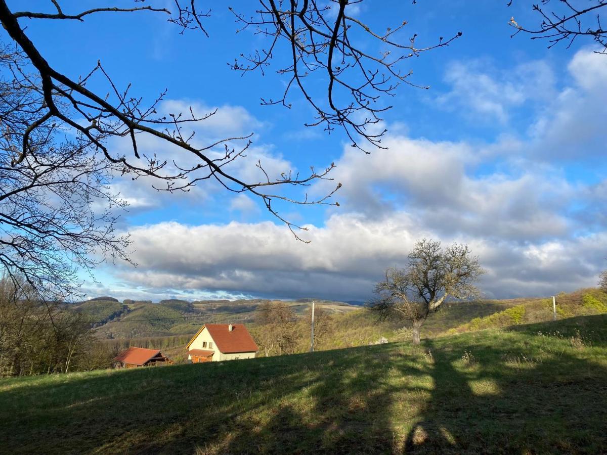Nature Homestay Trenčín Esterno foto