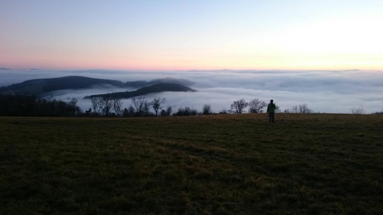 Nature Homestay Trenčín Esterno foto