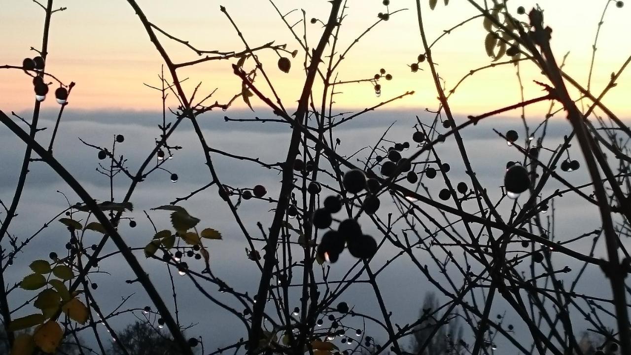 Nature Homestay Trenčín Esterno foto