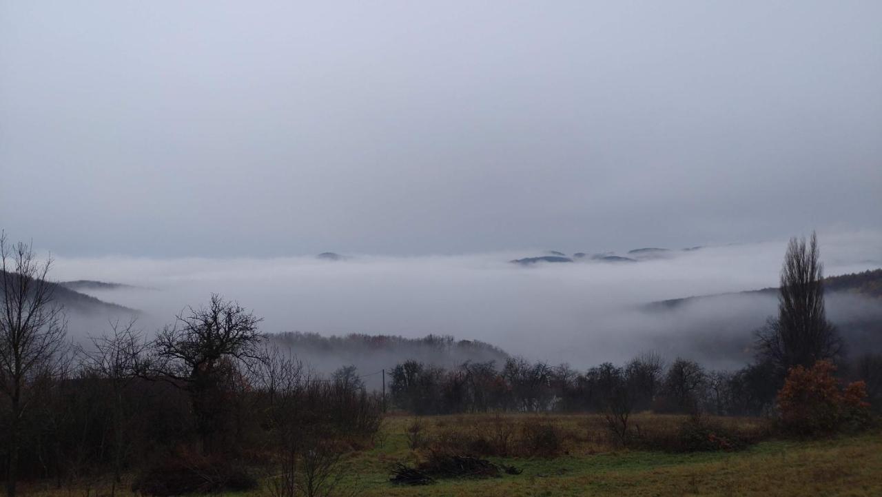 Nature Homestay Trenčín Esterno foto