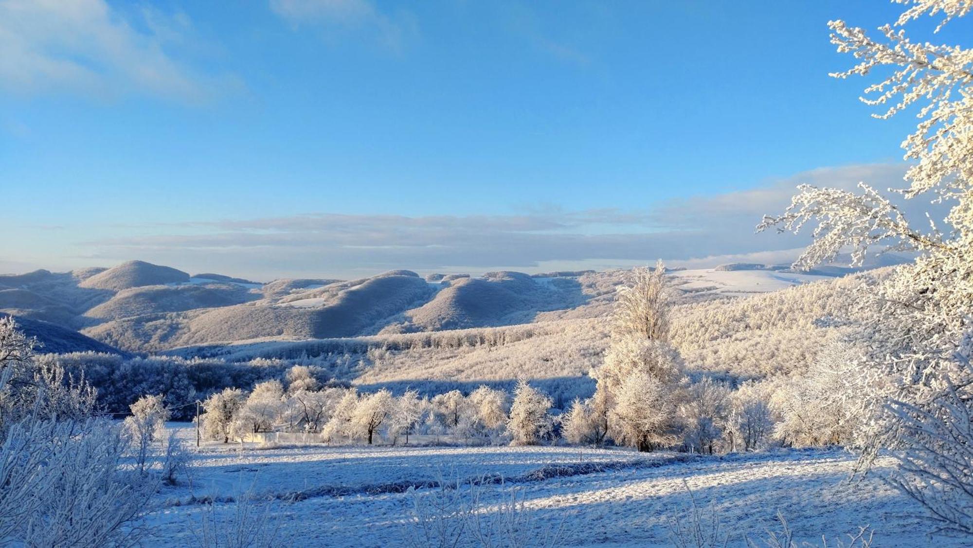 Nature Homestay Trenčín Esterno foto